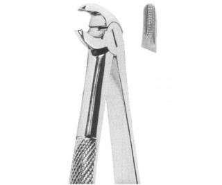 Extracting Forceps English pattern